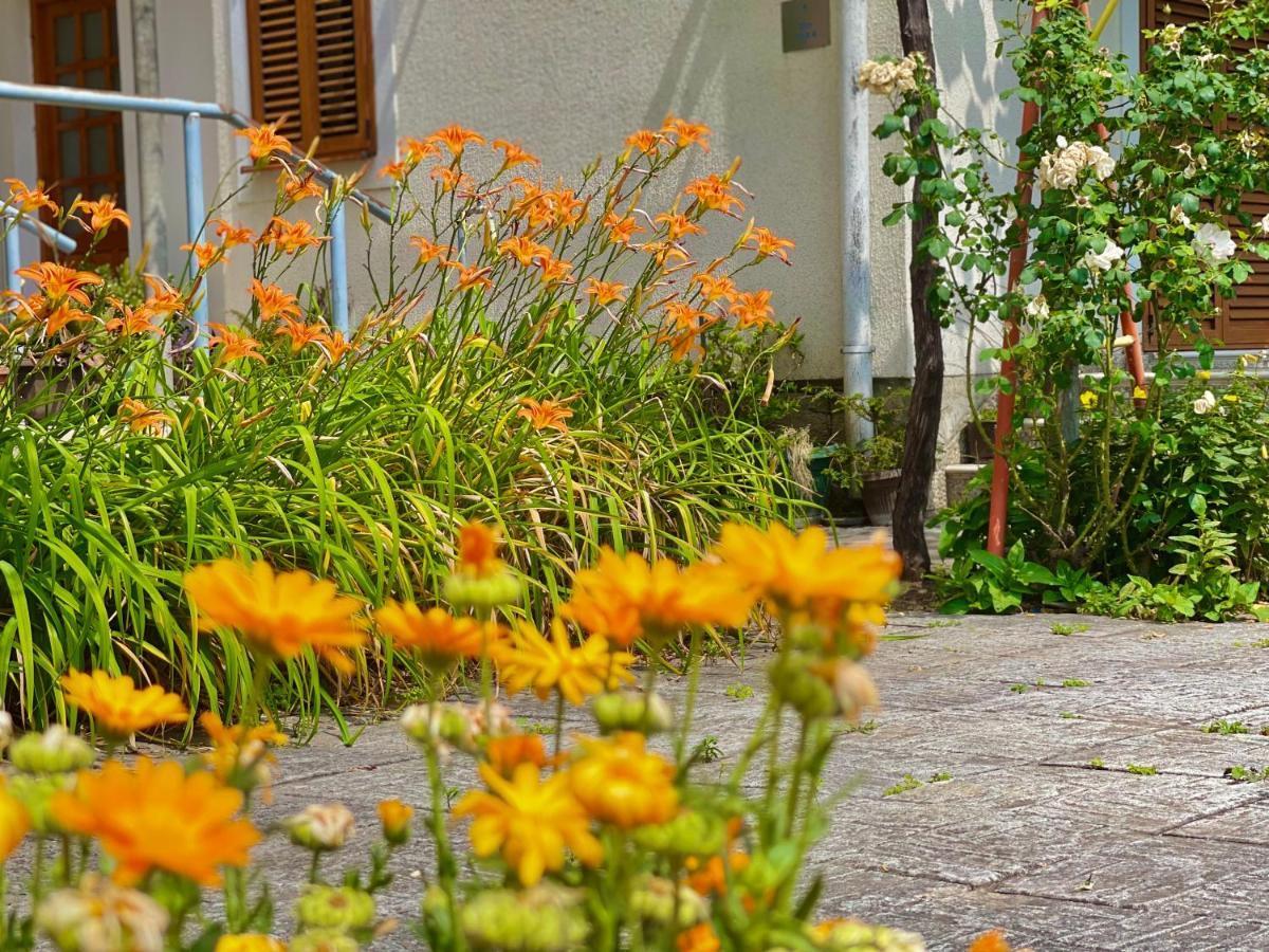 Garden House 부드바 외부 사진